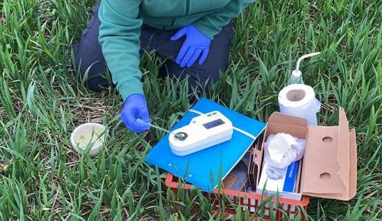 Understanding plant health assessments